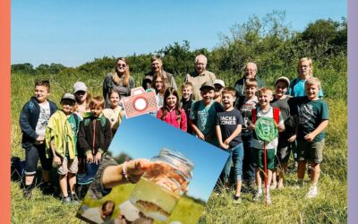 Warum es in der Trubach keine Haifische gibt