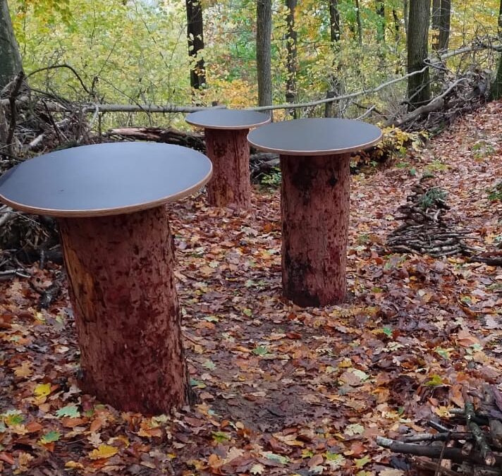 Grundschule Weilersbach Schulwald, Wald AG