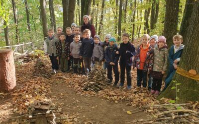 Wir bauen im Schulwald