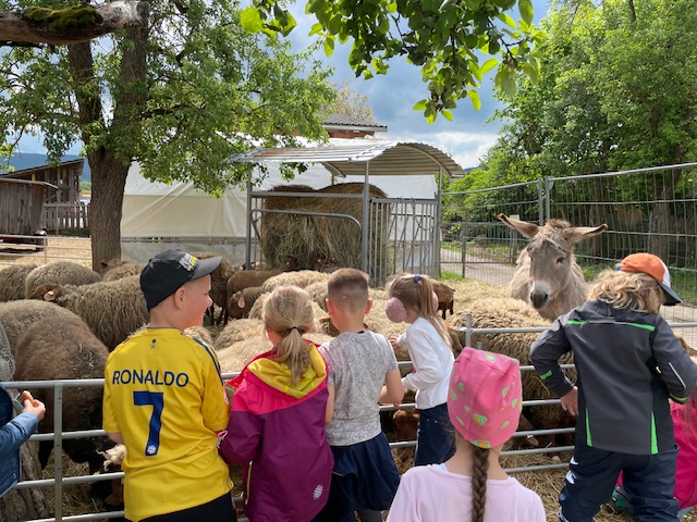 Bauernhofbesuch