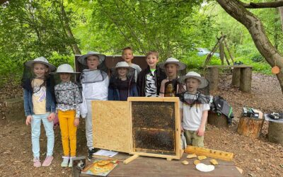 Projektwoche * Workshops in unserem Schulwald